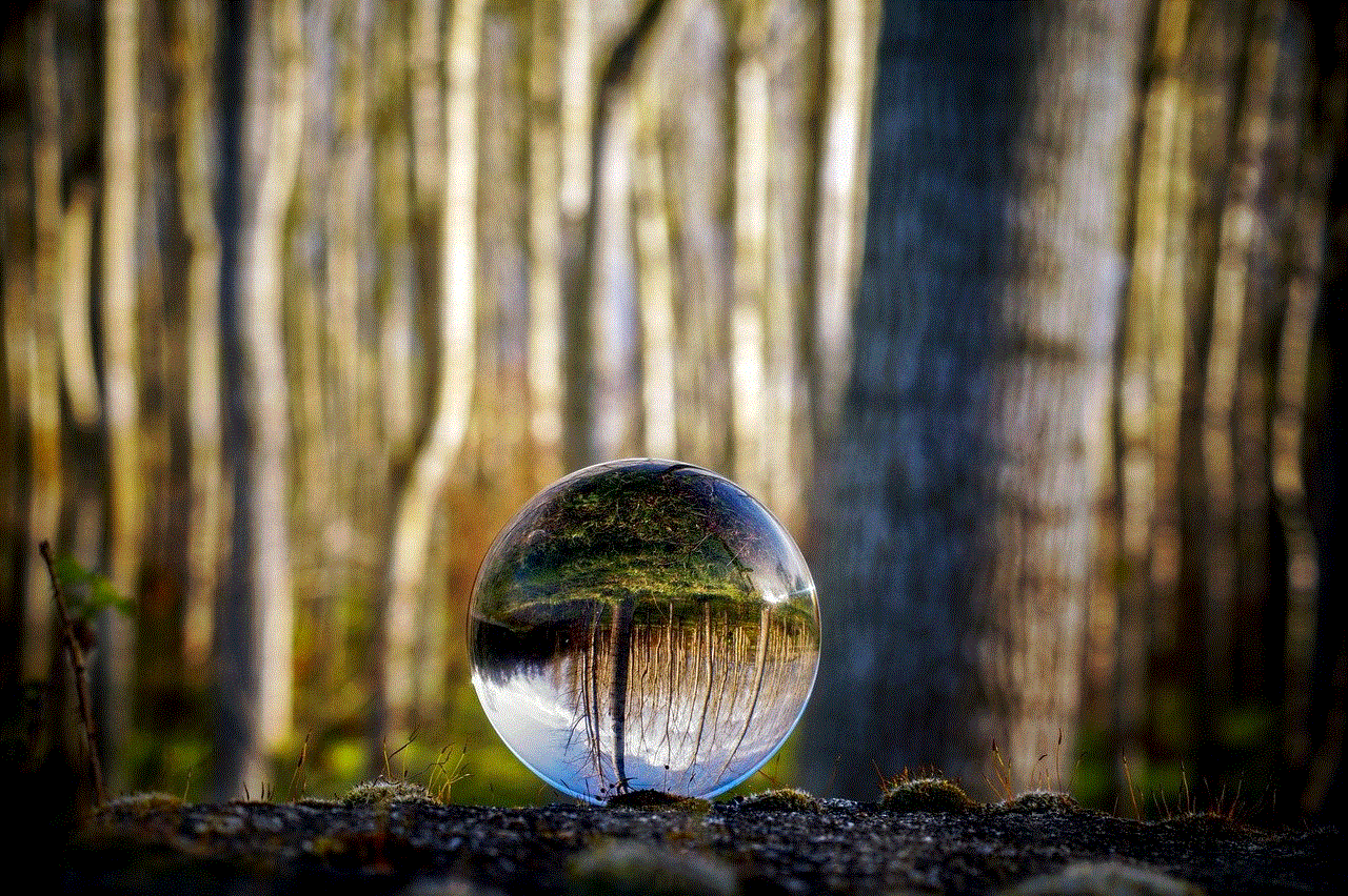 Glass Sphere Forest