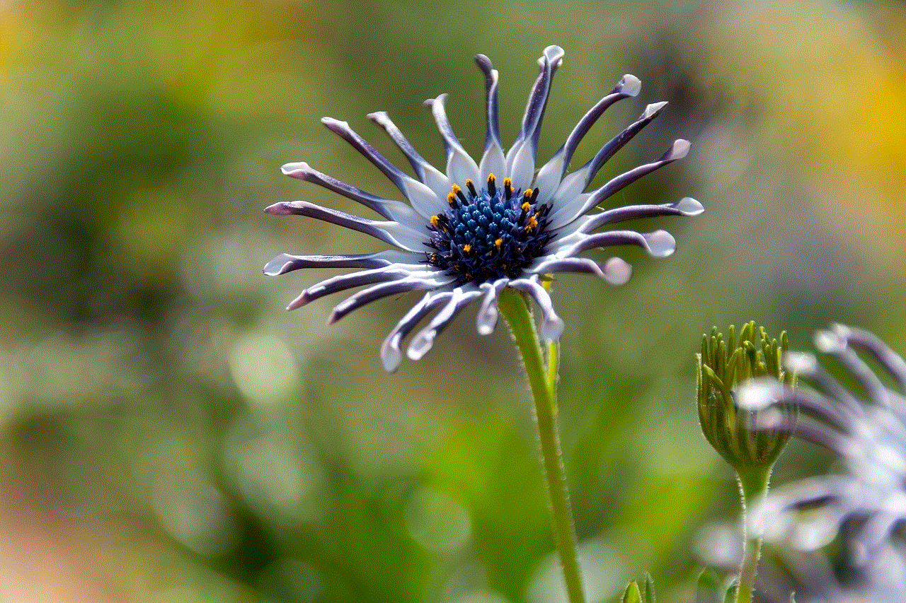 Flower Flower Background