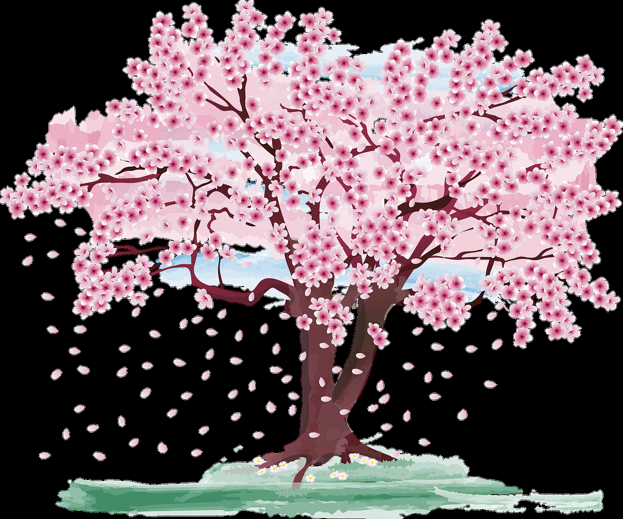 Cherry Blossom Tree