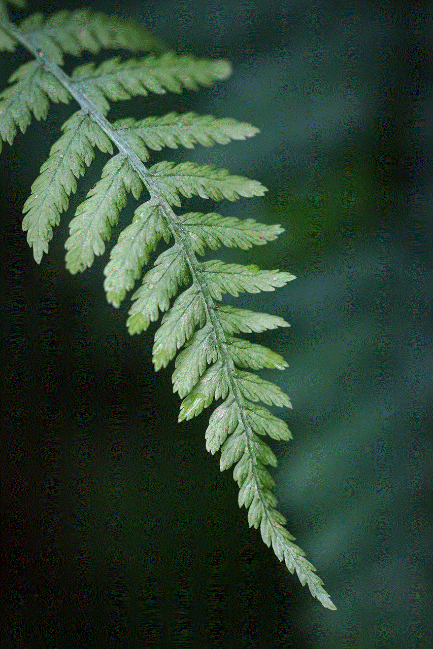 Fern Botany