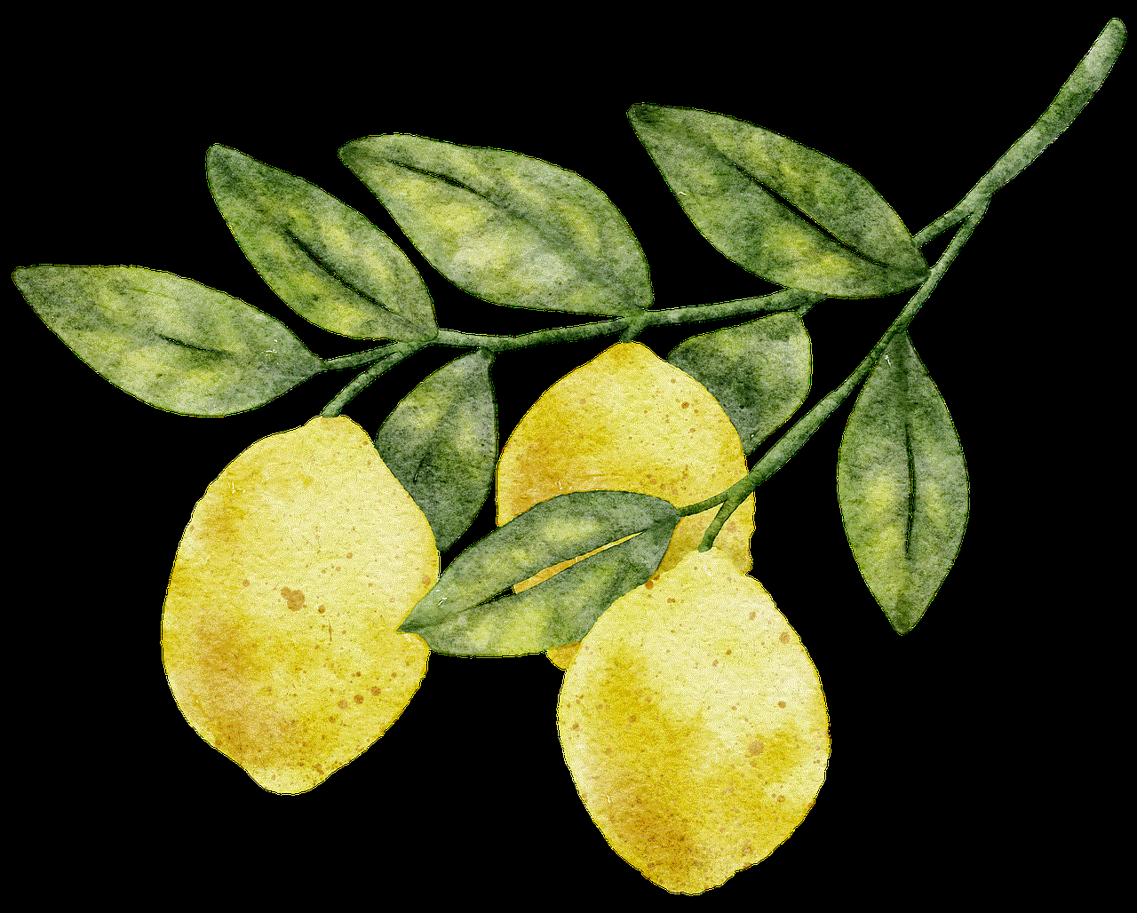 Watercolor Citrus