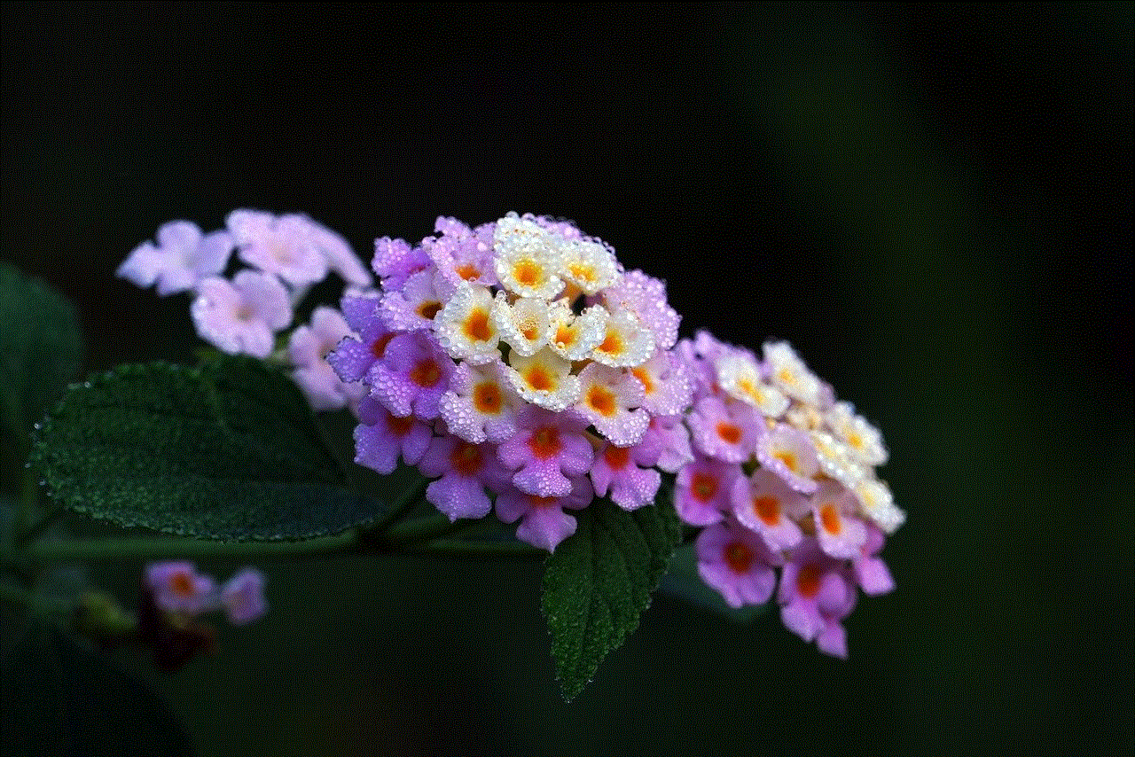 Lantana Dew