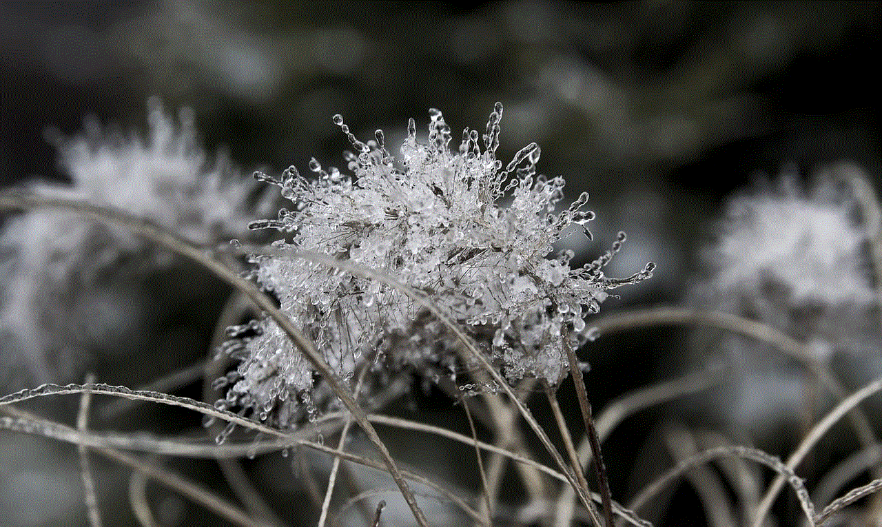 Grass Frost