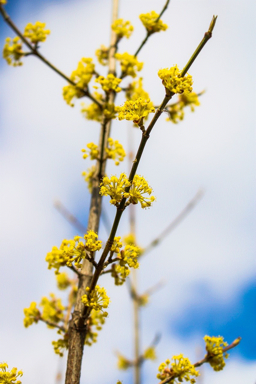 Flower Sky