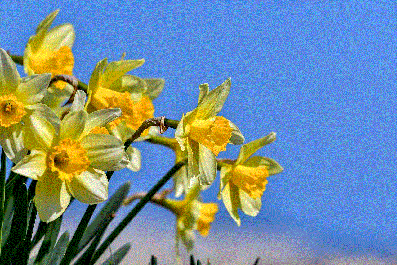 Plant Blue Sky