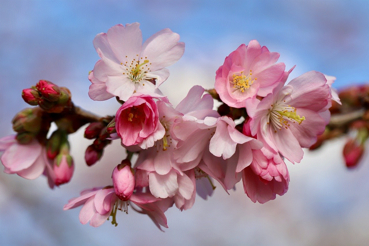 Higan Cherry Spring Cherry
