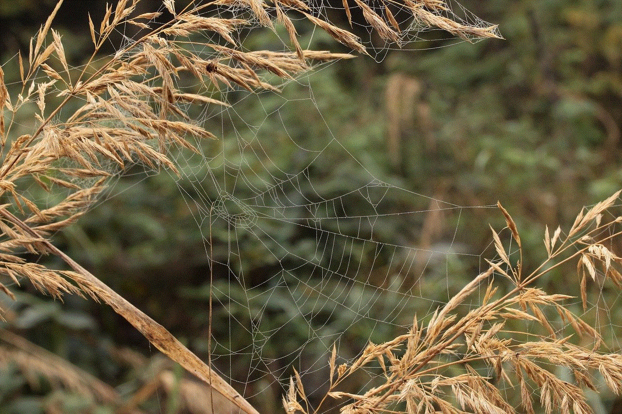 Cobweb Ear Of Grass