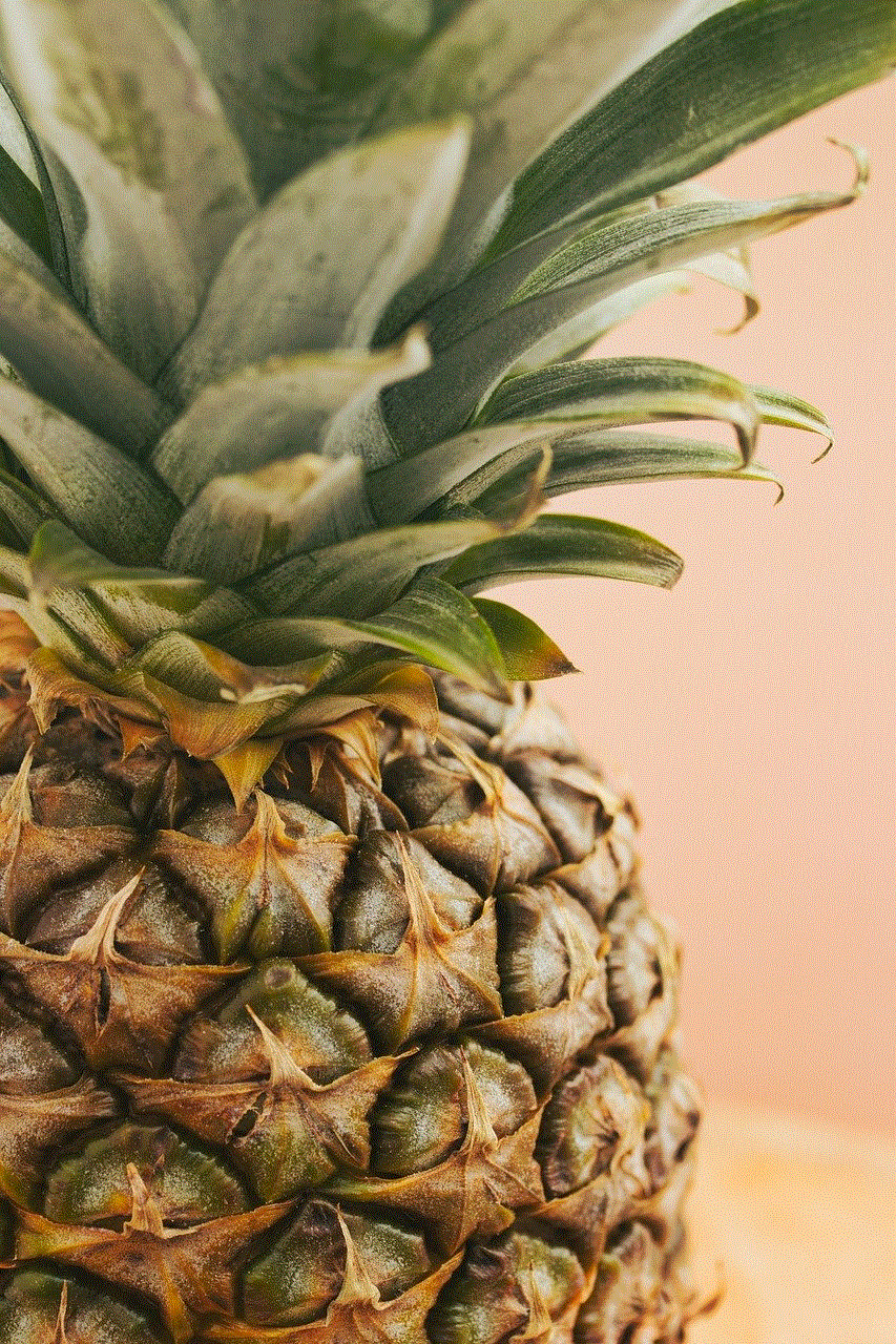 Fruit Pineapple