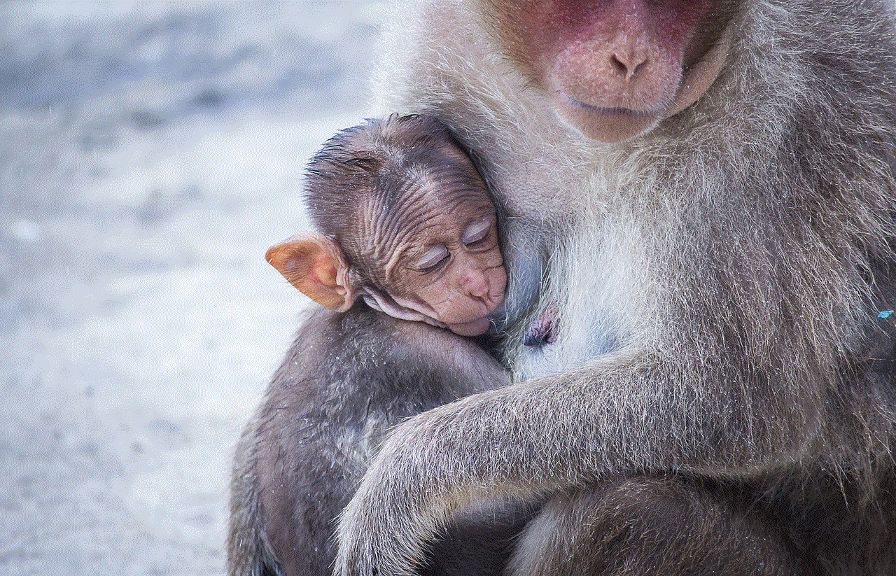 Monkey Happy Mothers Day