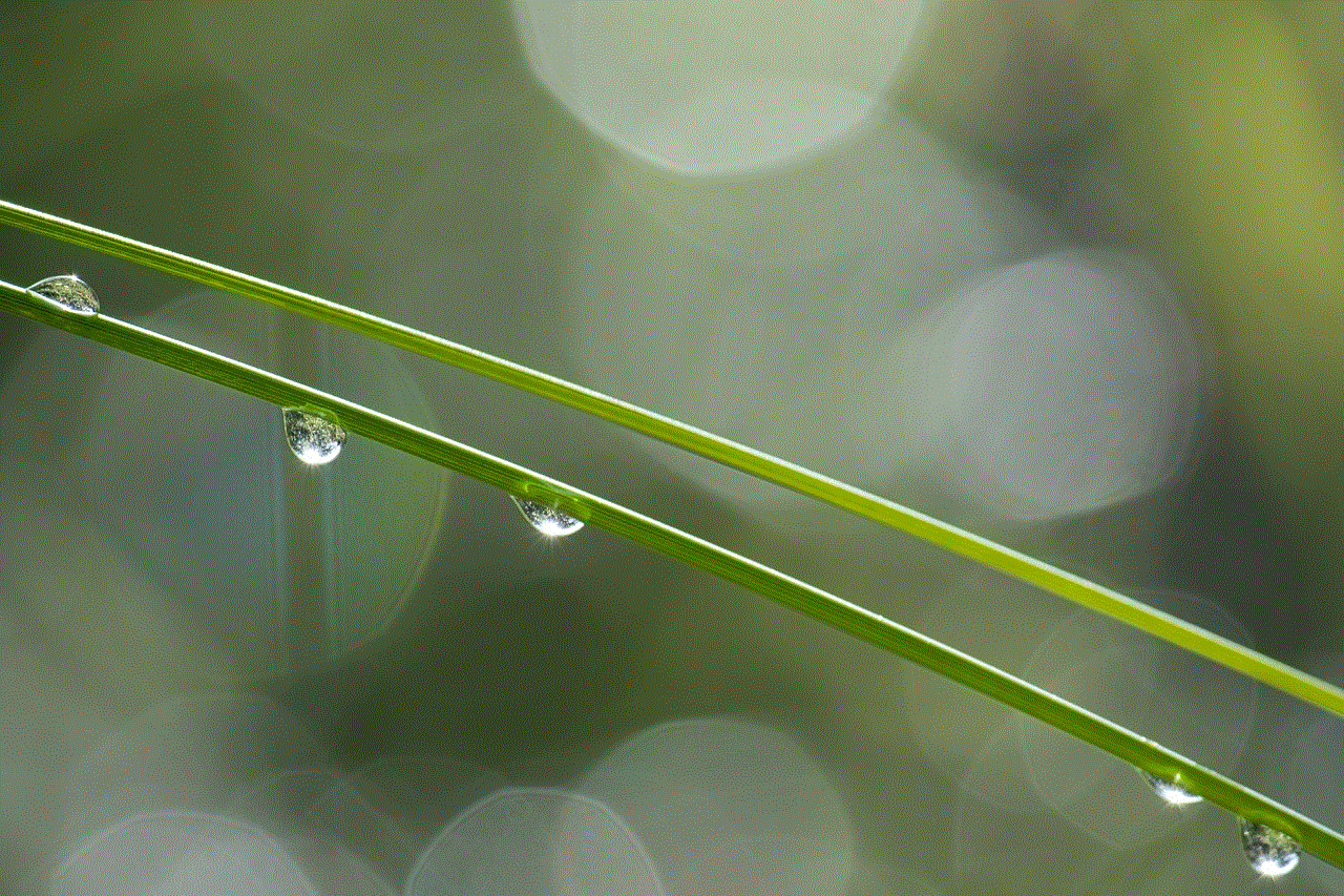 Grass Dewdrop