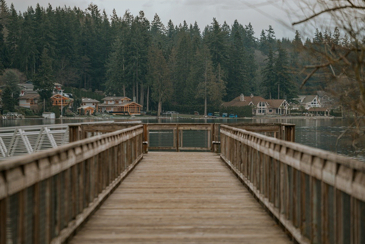Bridge Lake