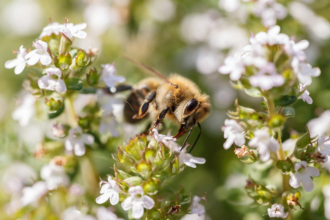 Bee Flower Wallpaper