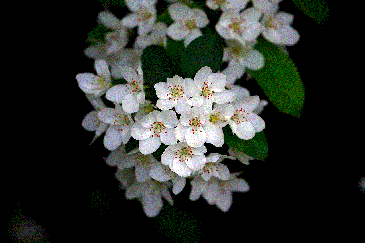 Flowers Nature Background