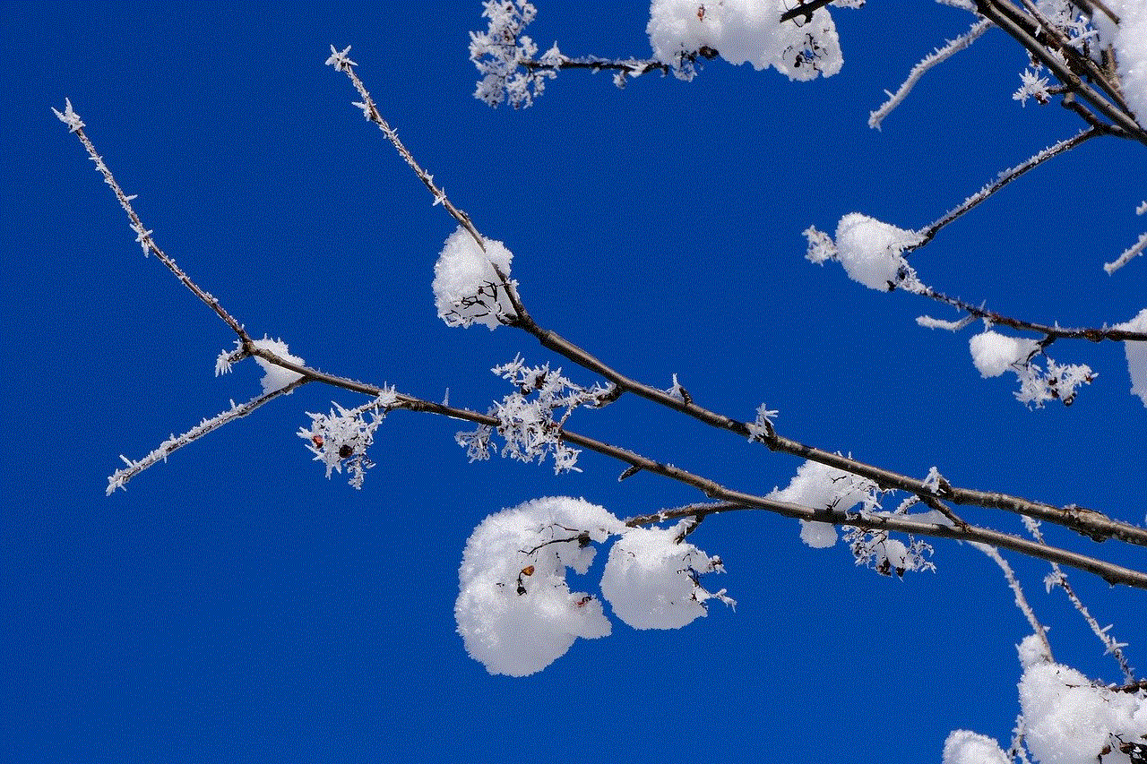 Winter Snow Winter Snow