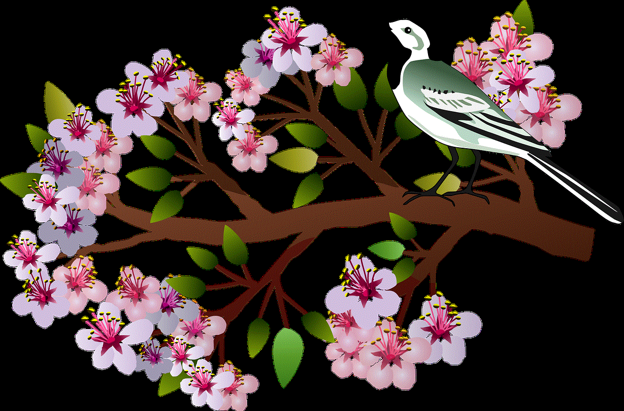 Cherry Blossoms Bird