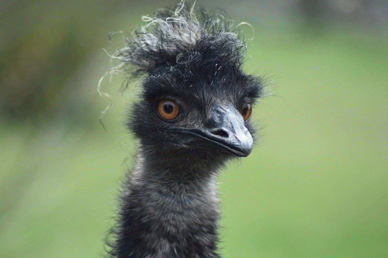 Bird Emu