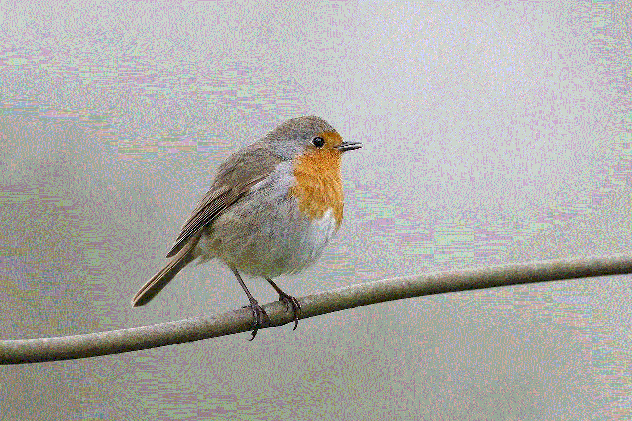 Bird Desktop Backgrounds