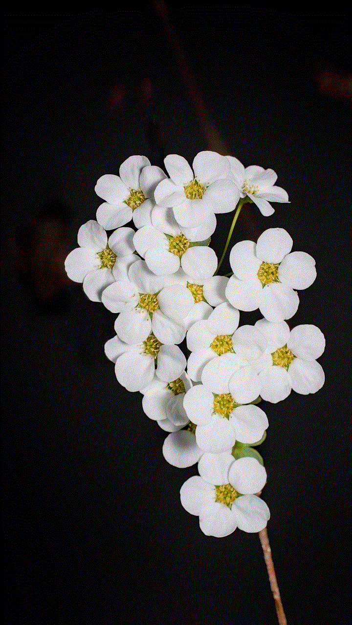 Flower Nature