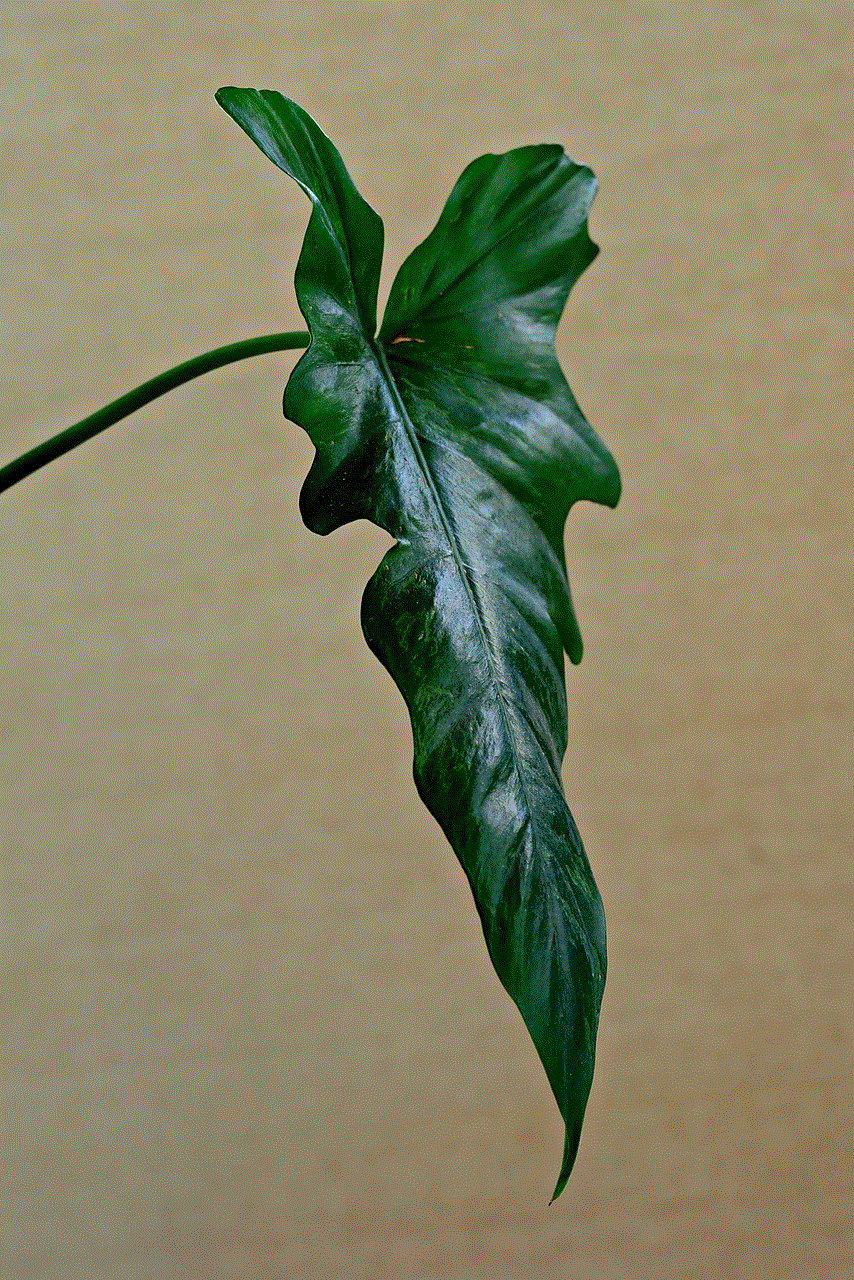 Anthurium Leave