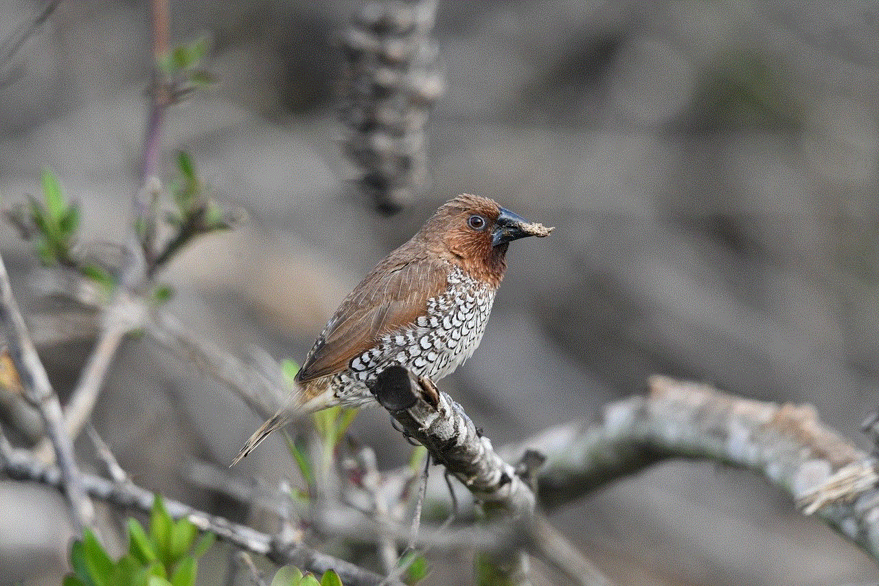 Scaly-Breasted Munia Bird