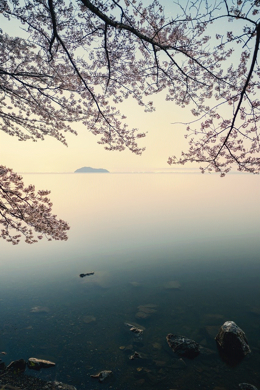 Lake Biwa Cherry Blossoms