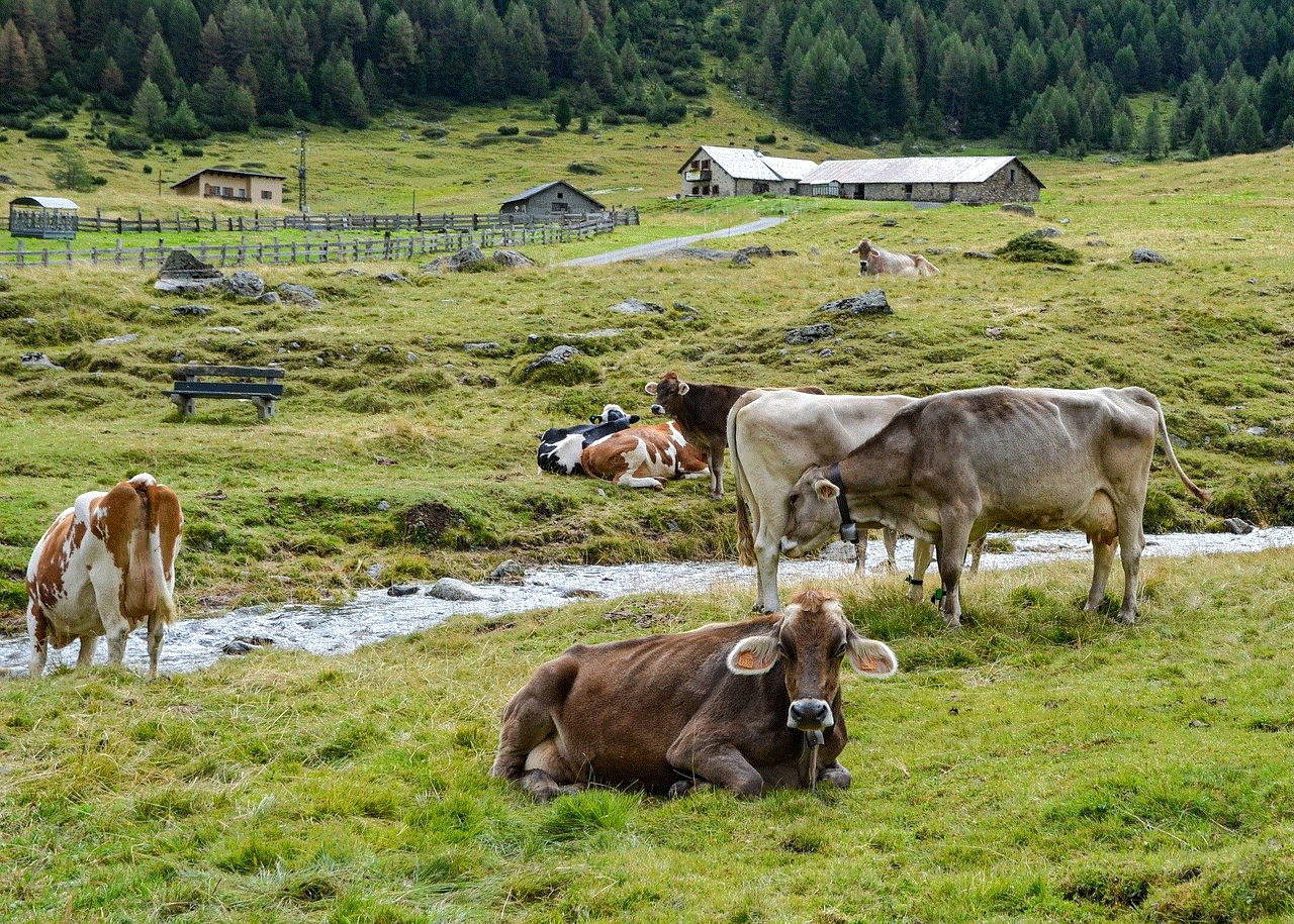 Cows Mountain