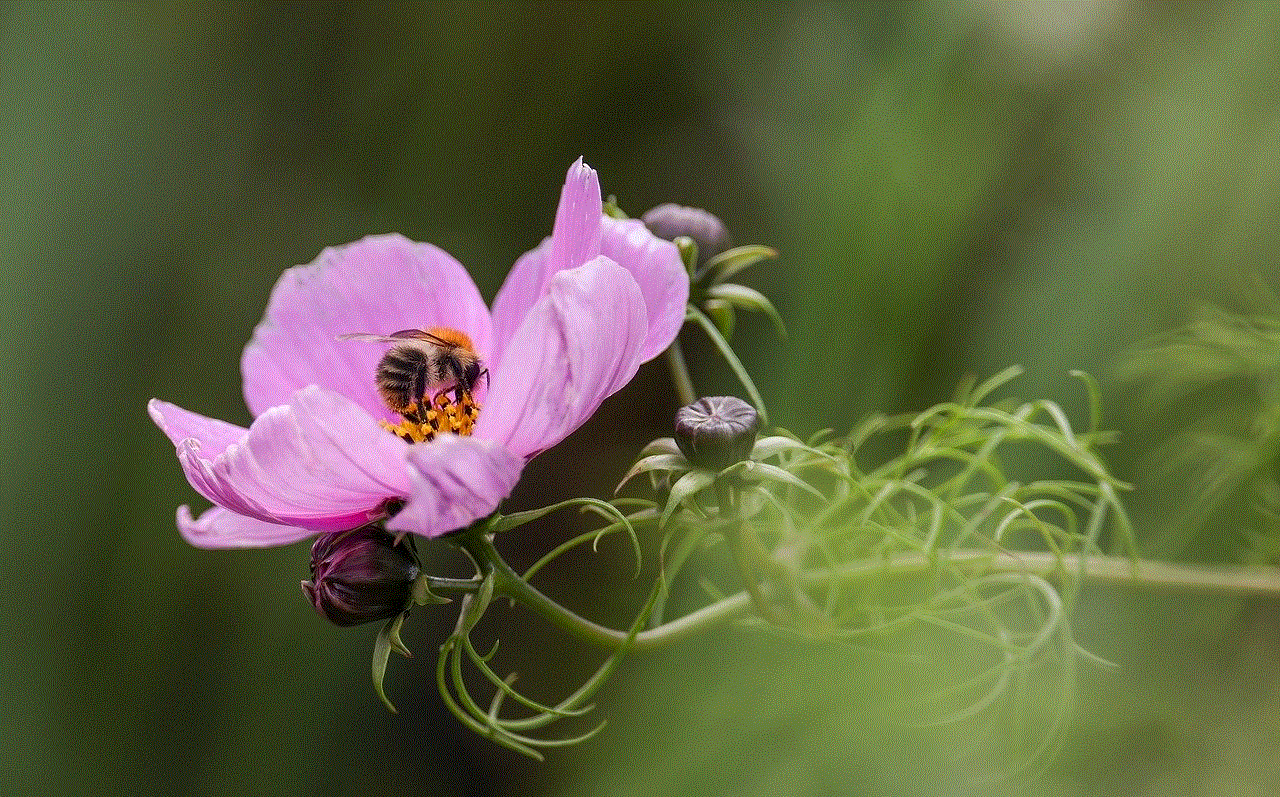 Flower Bee