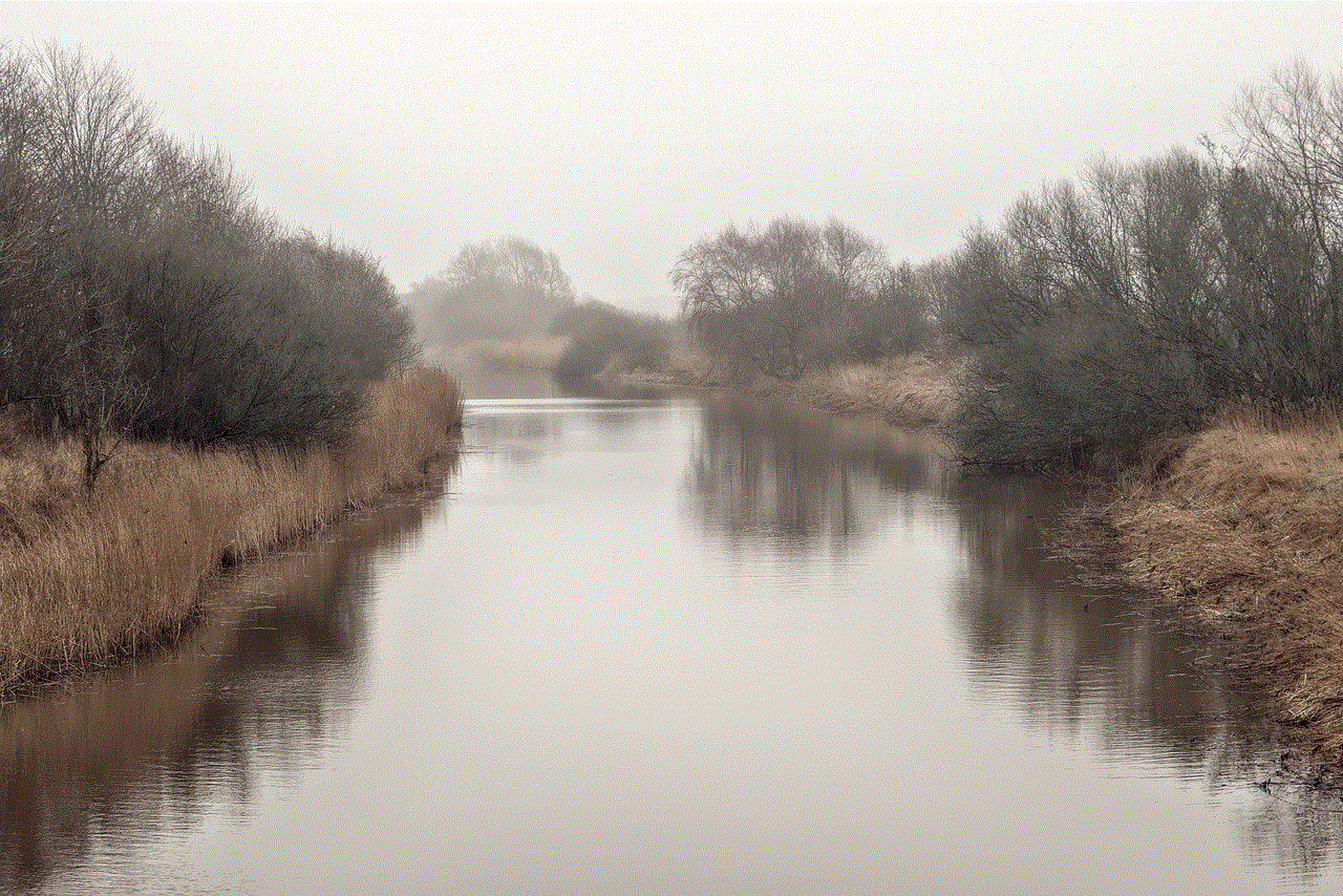 Riverbank Fog