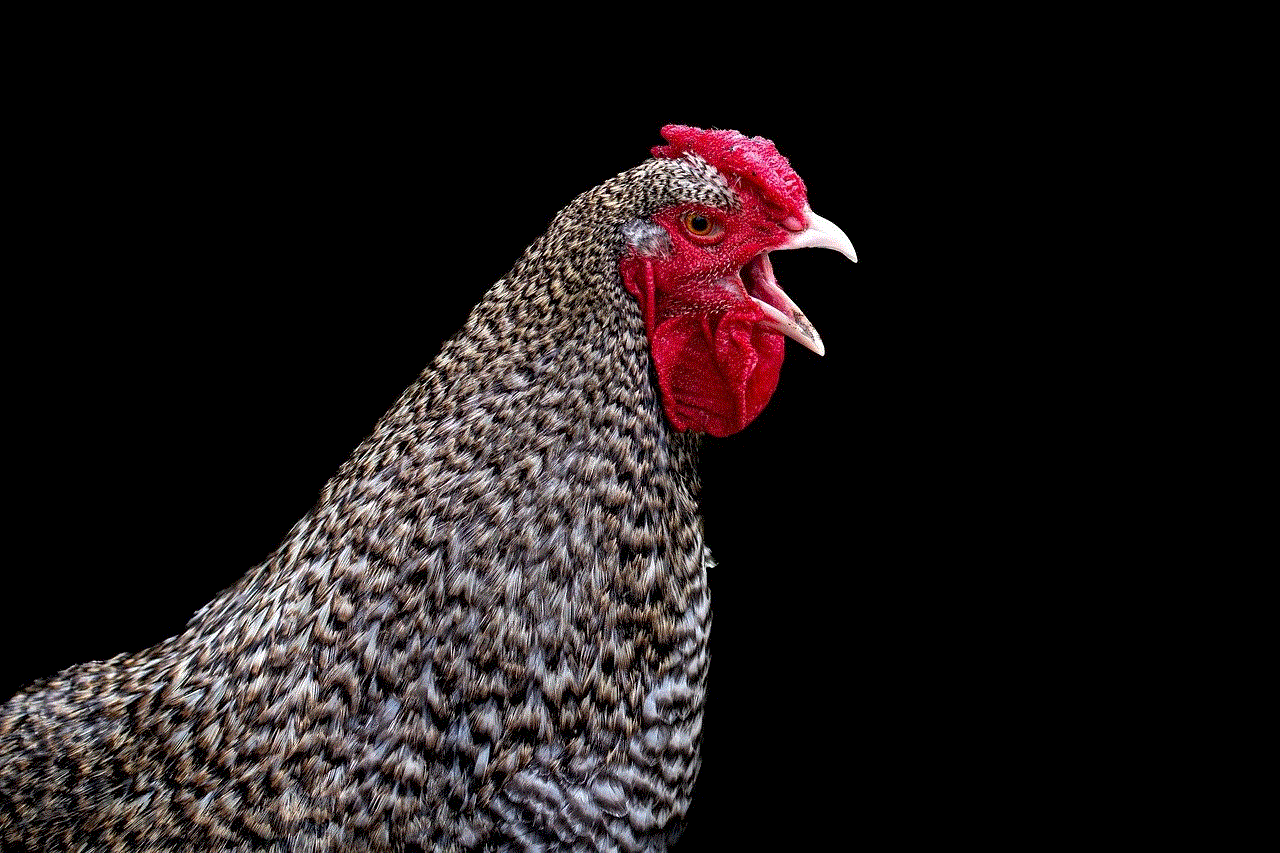 Rooster Chicken Rooster Chicken