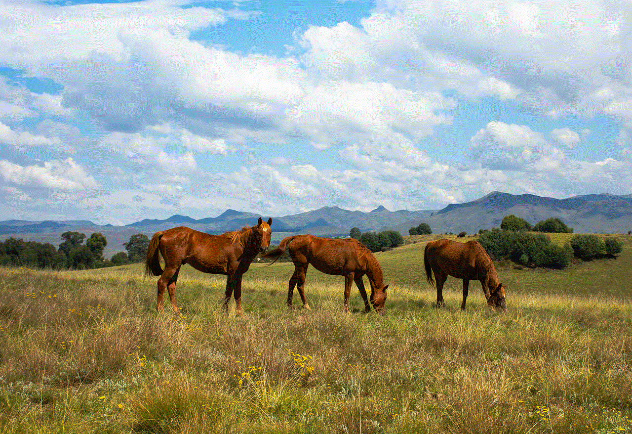 Animals Horses