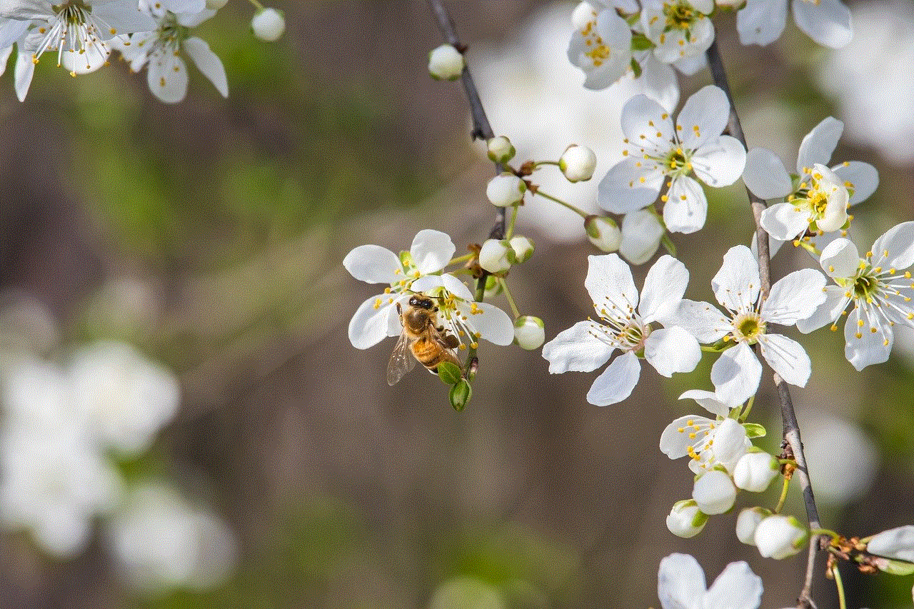 Bee Beautiful Nature