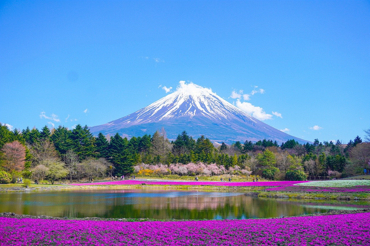 Mount Fuji Lake