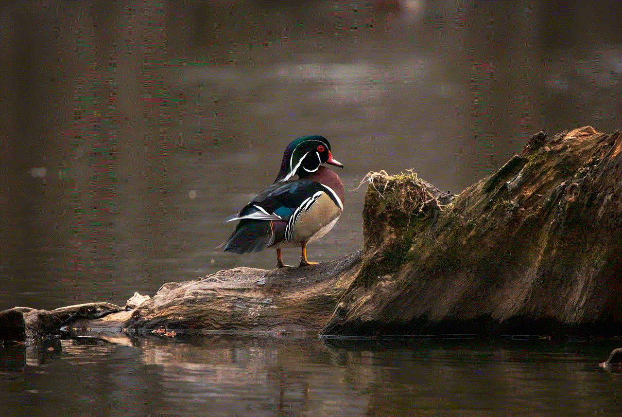 Wood Duck Lake