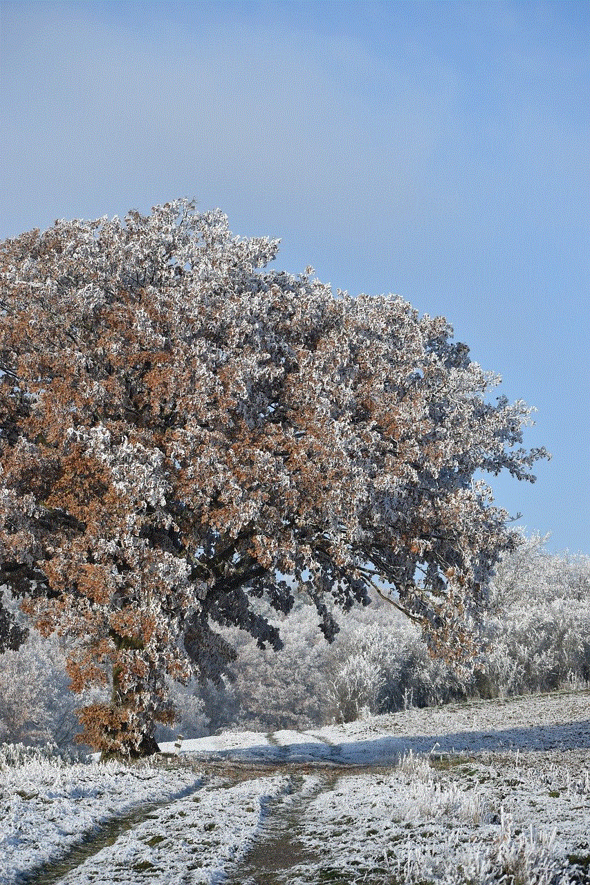 Oak Coldsnap