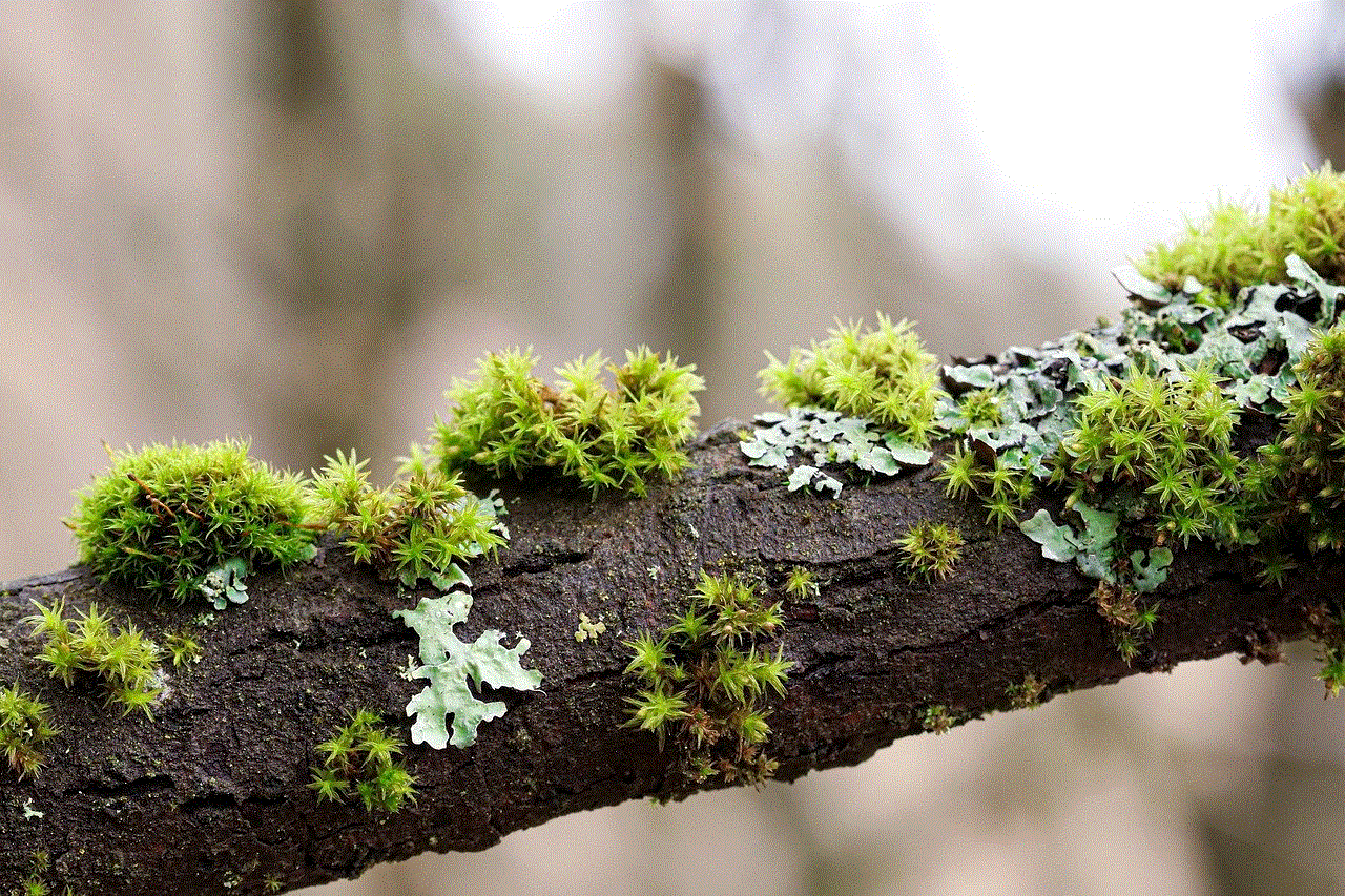 Moss Branches