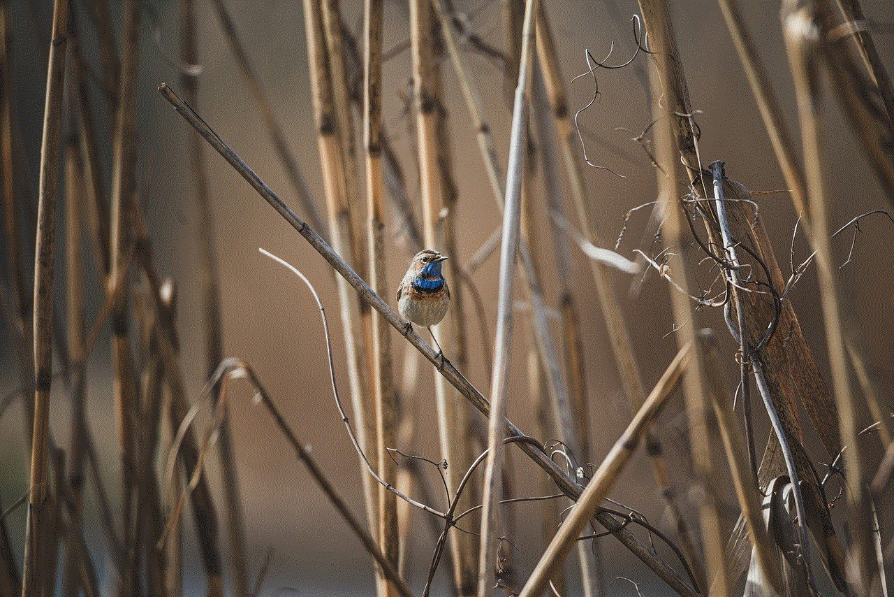 Bird Bluethroat