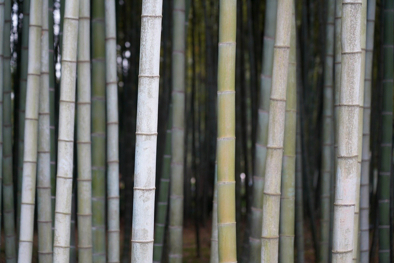 Bamboo Tree