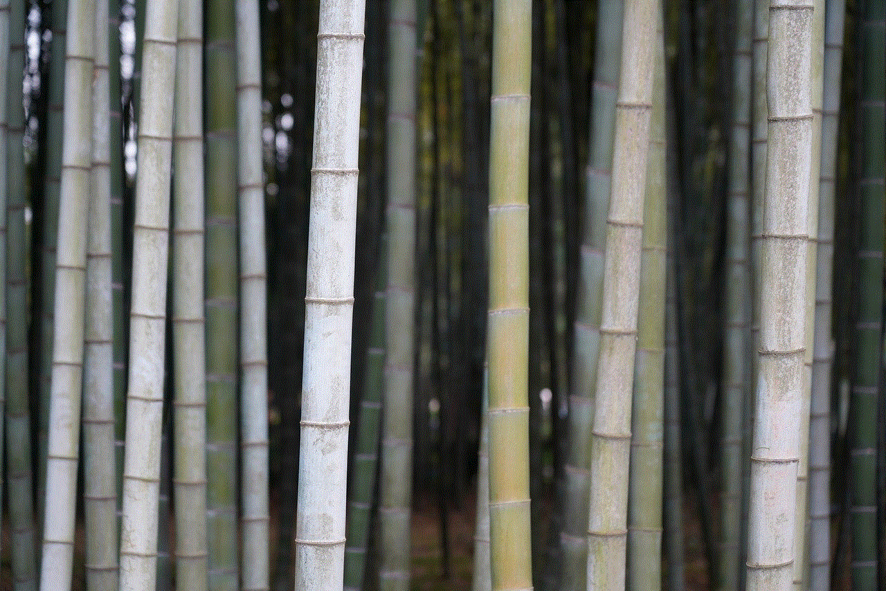 Bamboo Tree Bamboo Tree