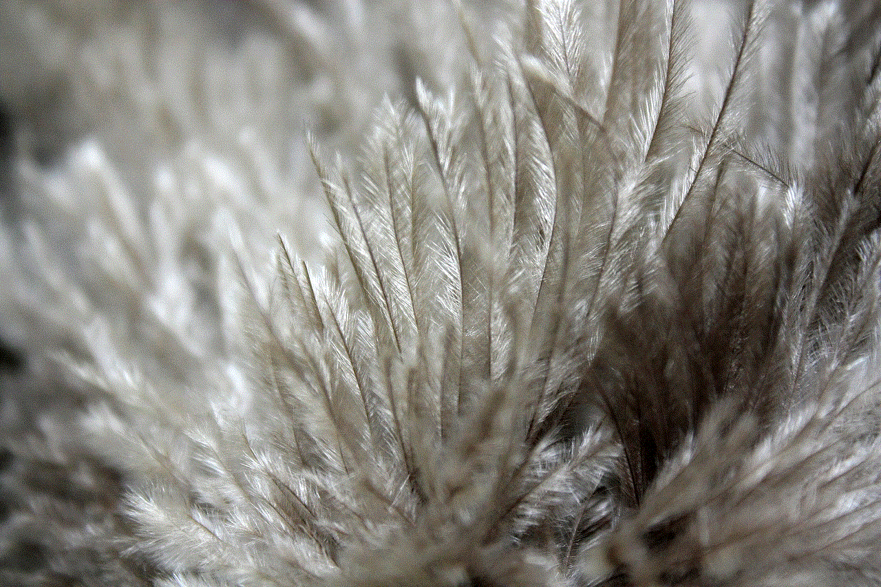 Feather Plumage