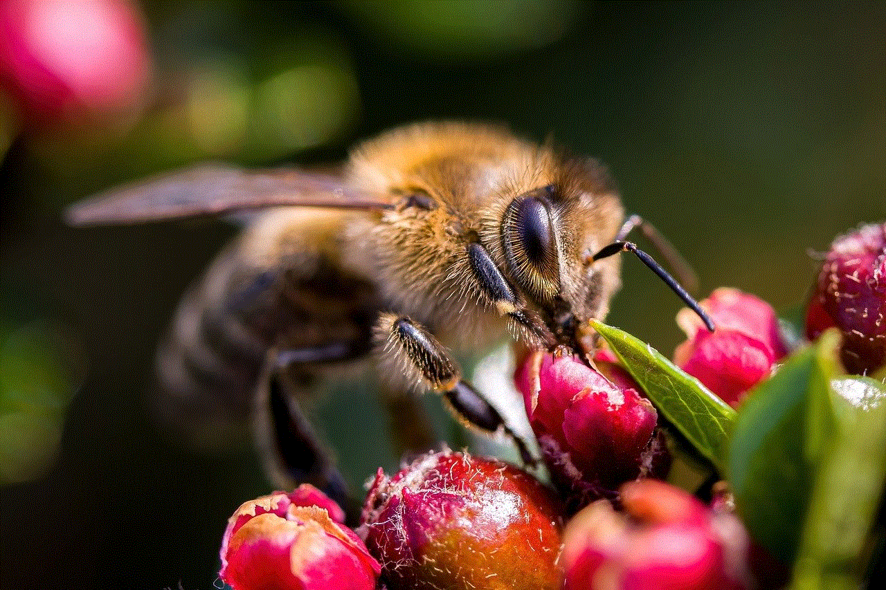 Bee Flower Background