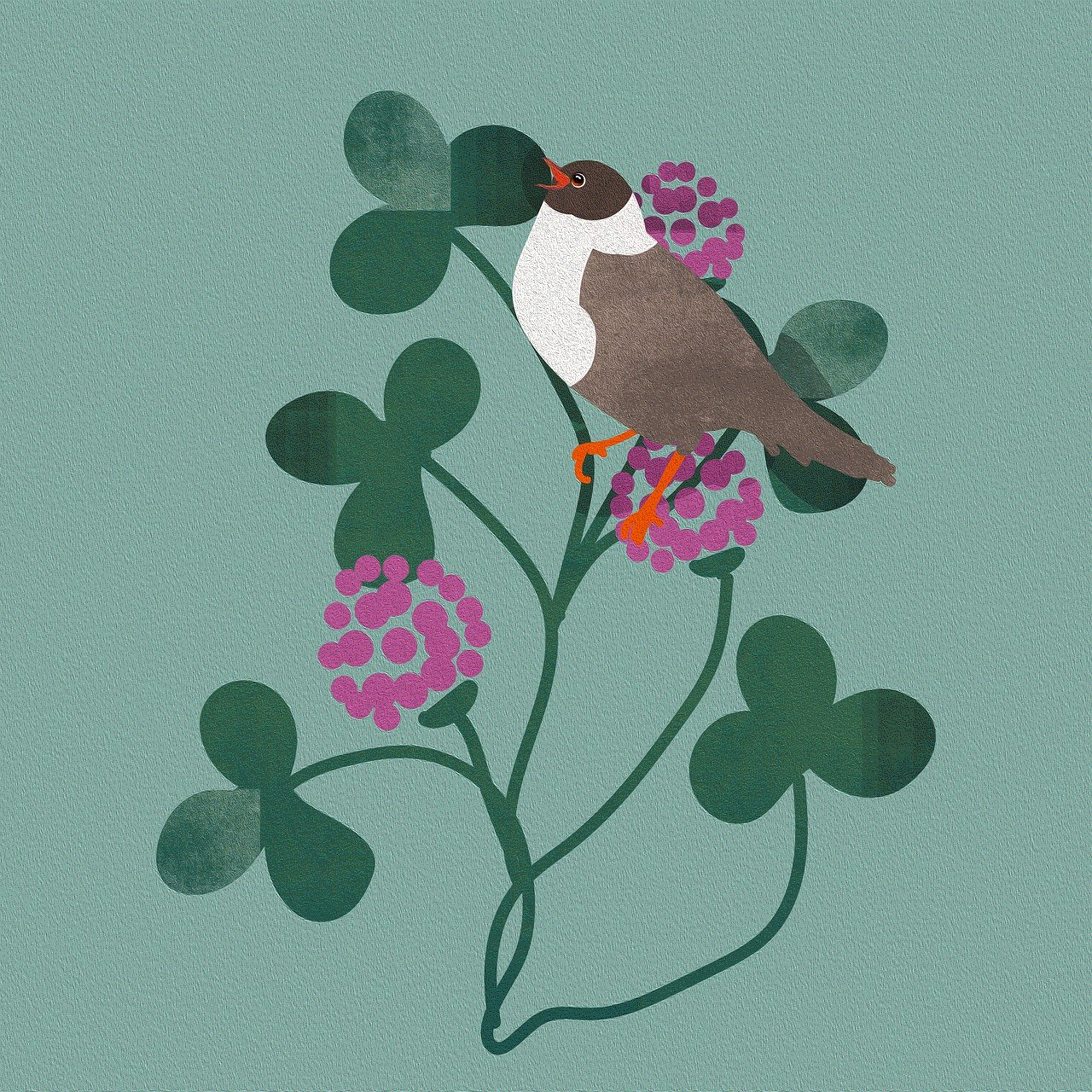 Flowers Bird