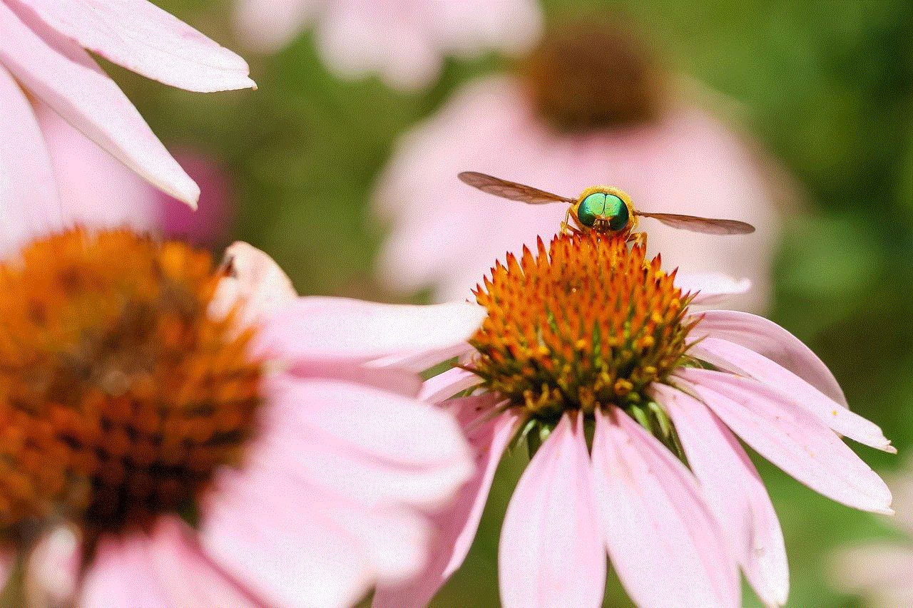 Flower Insect