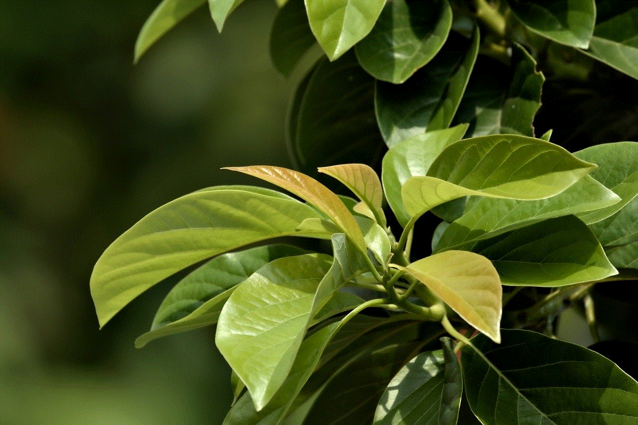 Leaves Green