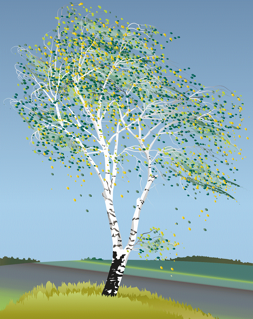 Birch Tree Birch Tree Illustration