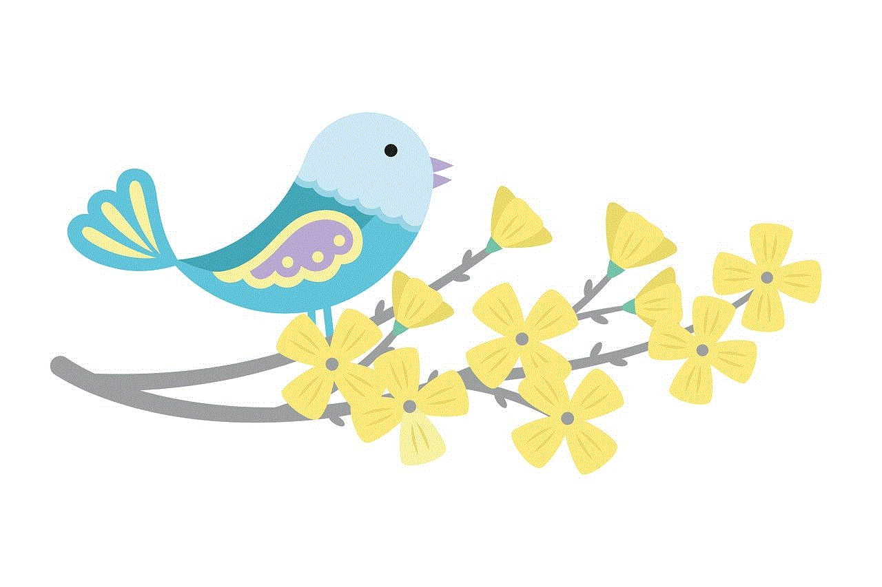 Spring Bird