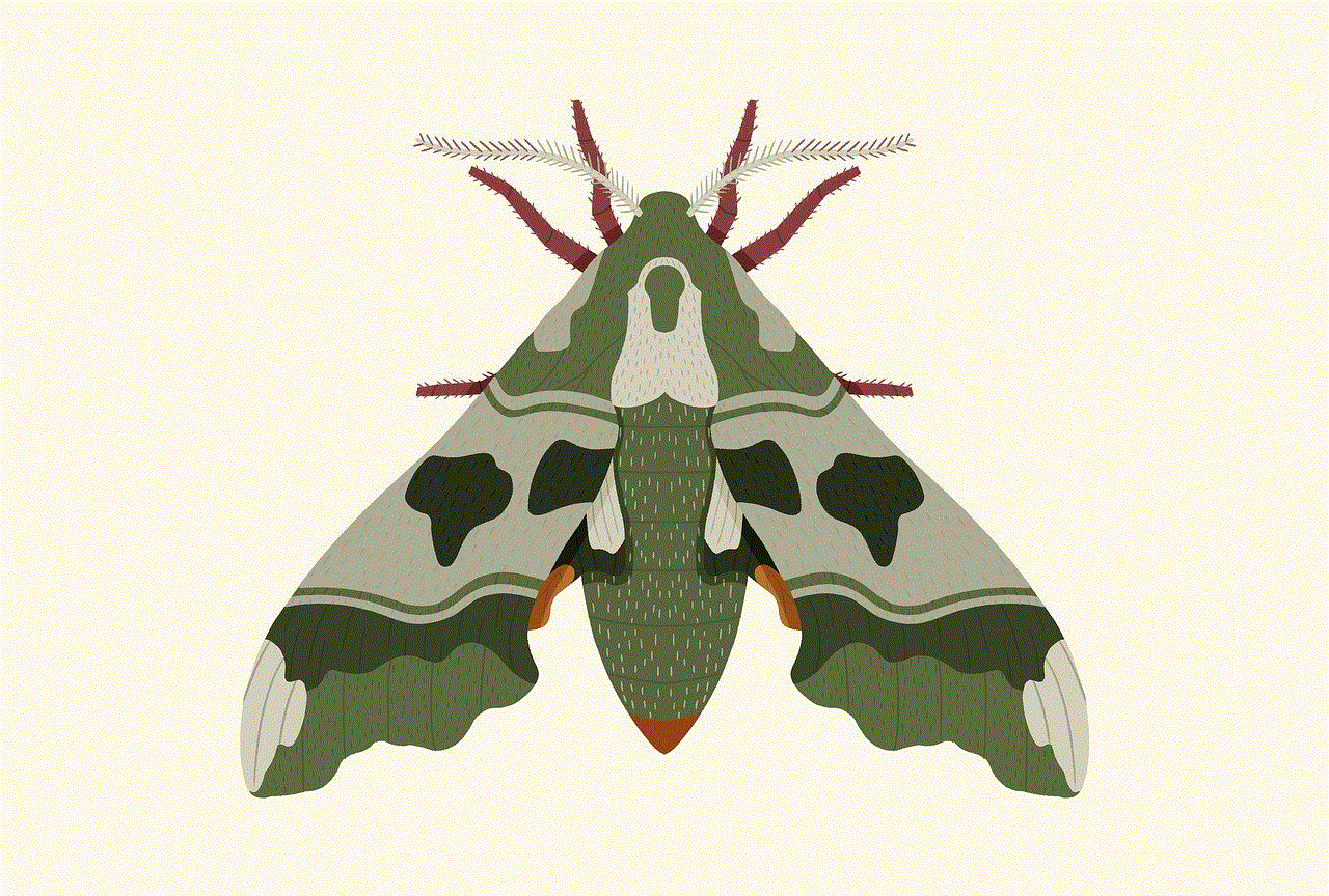 Moth Butterfly