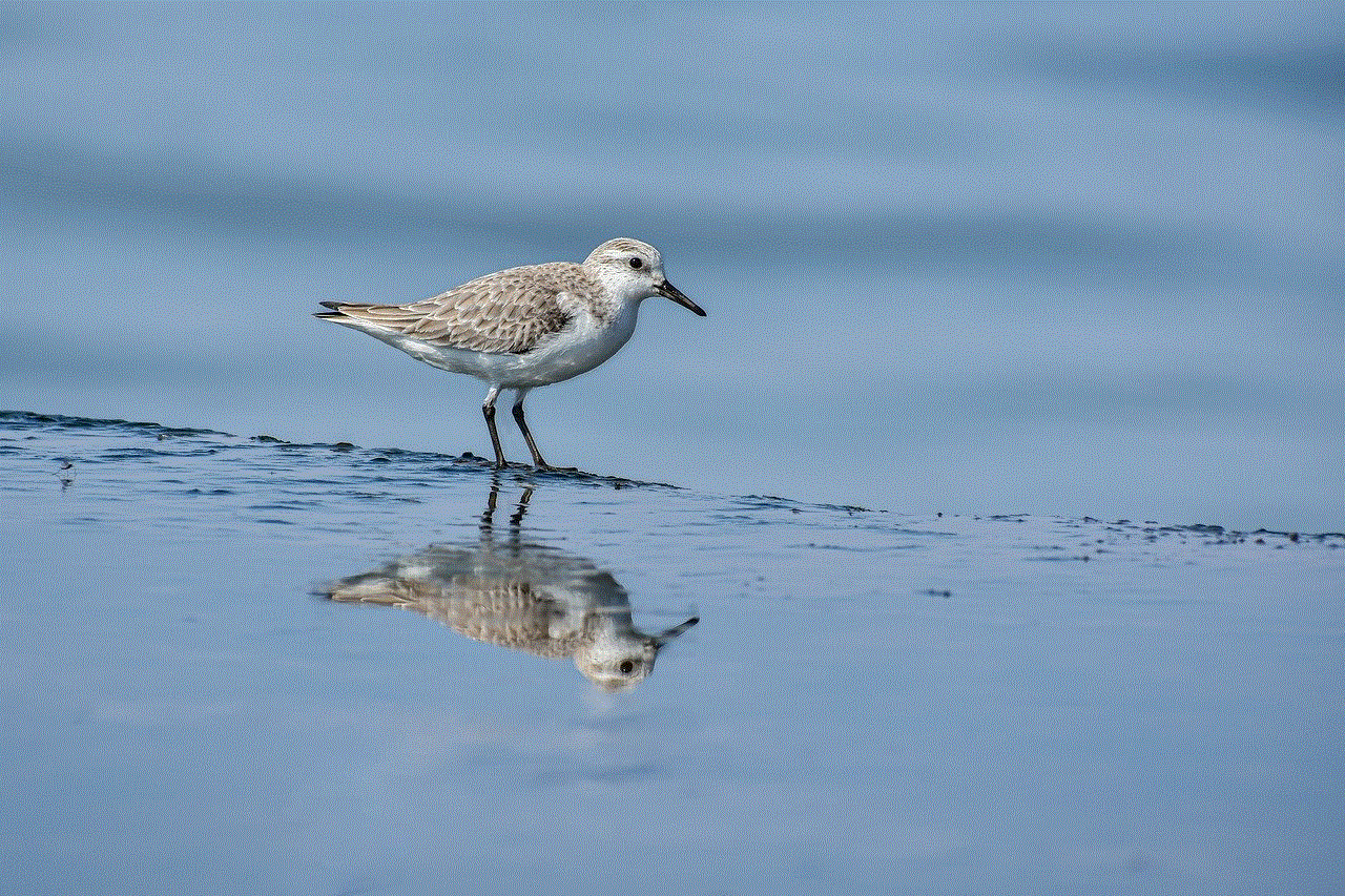 Sanderling Sea