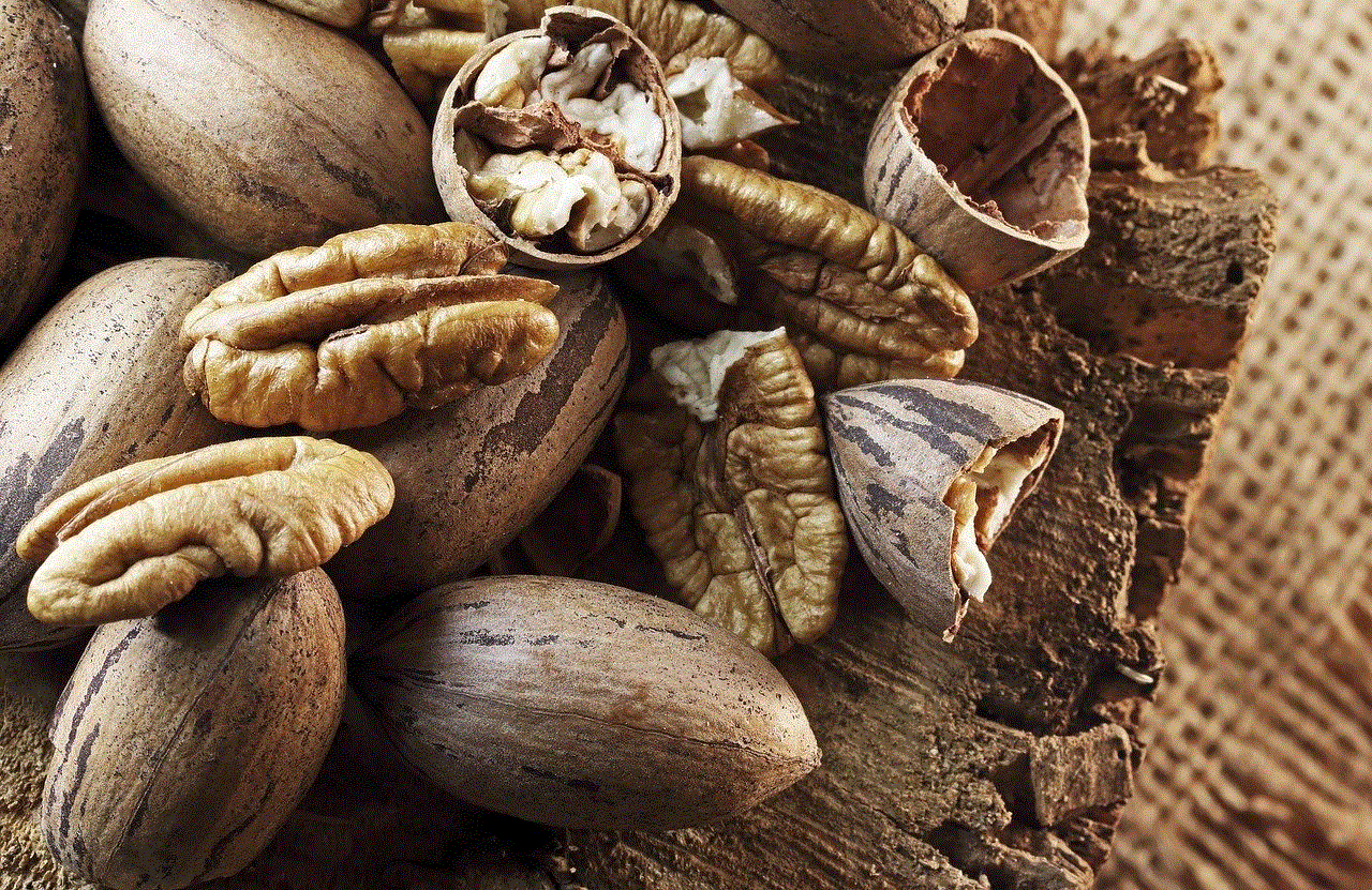 Pecan Nuts Nuts