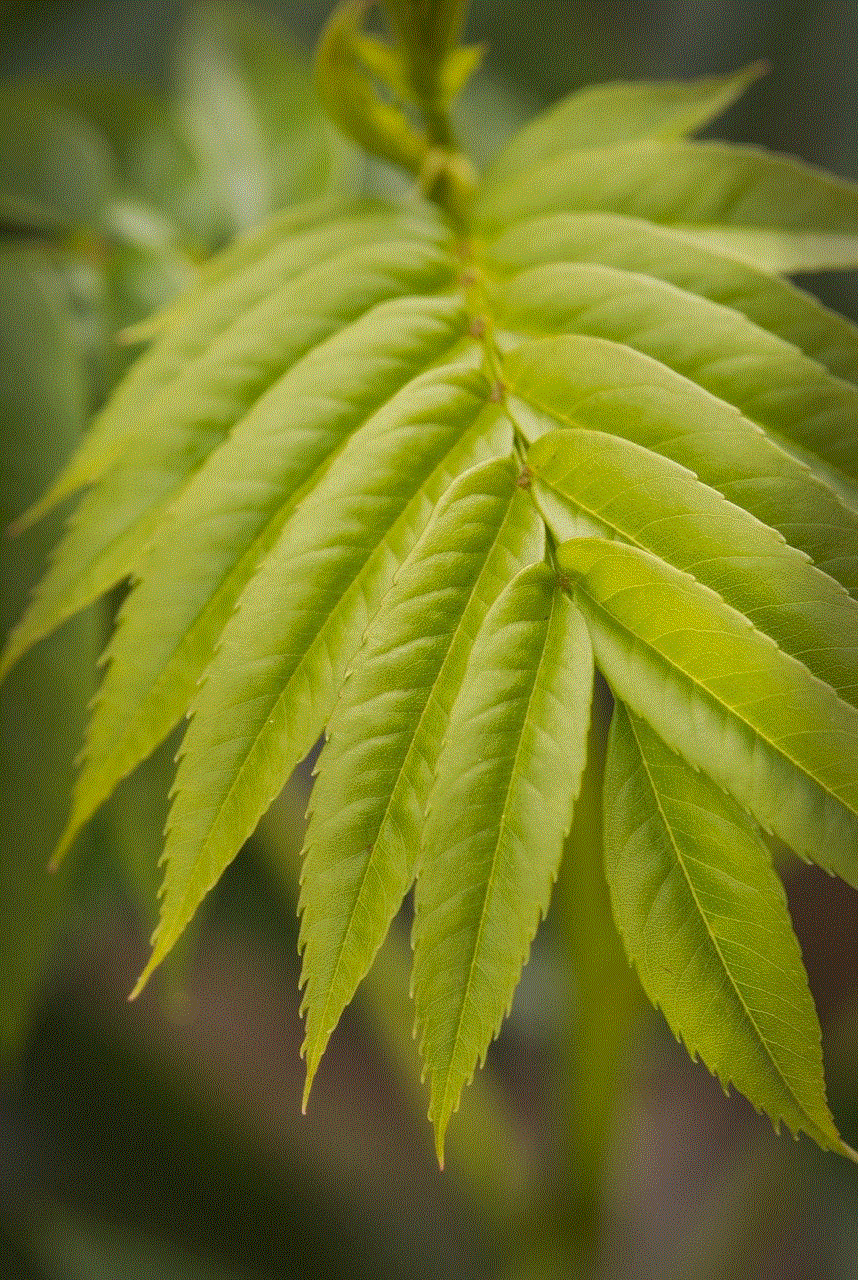 Leaf Rowan
