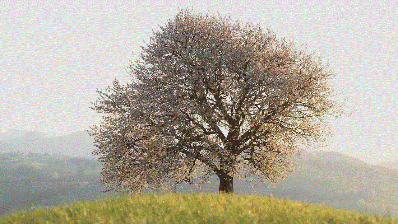 Tree Leaves